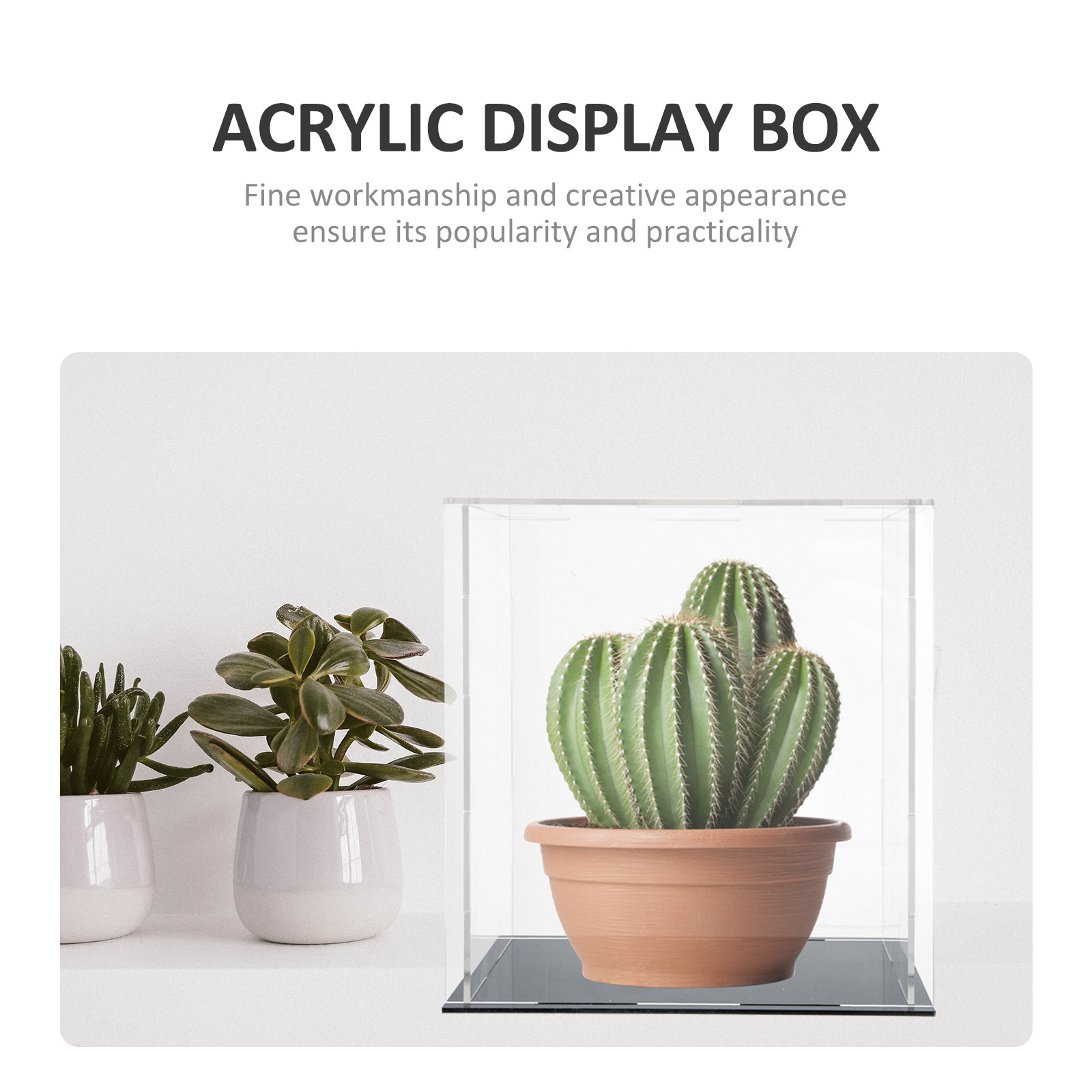 Vetrina in acrilico resistente - Display Case Acrylic recensione e prezzo