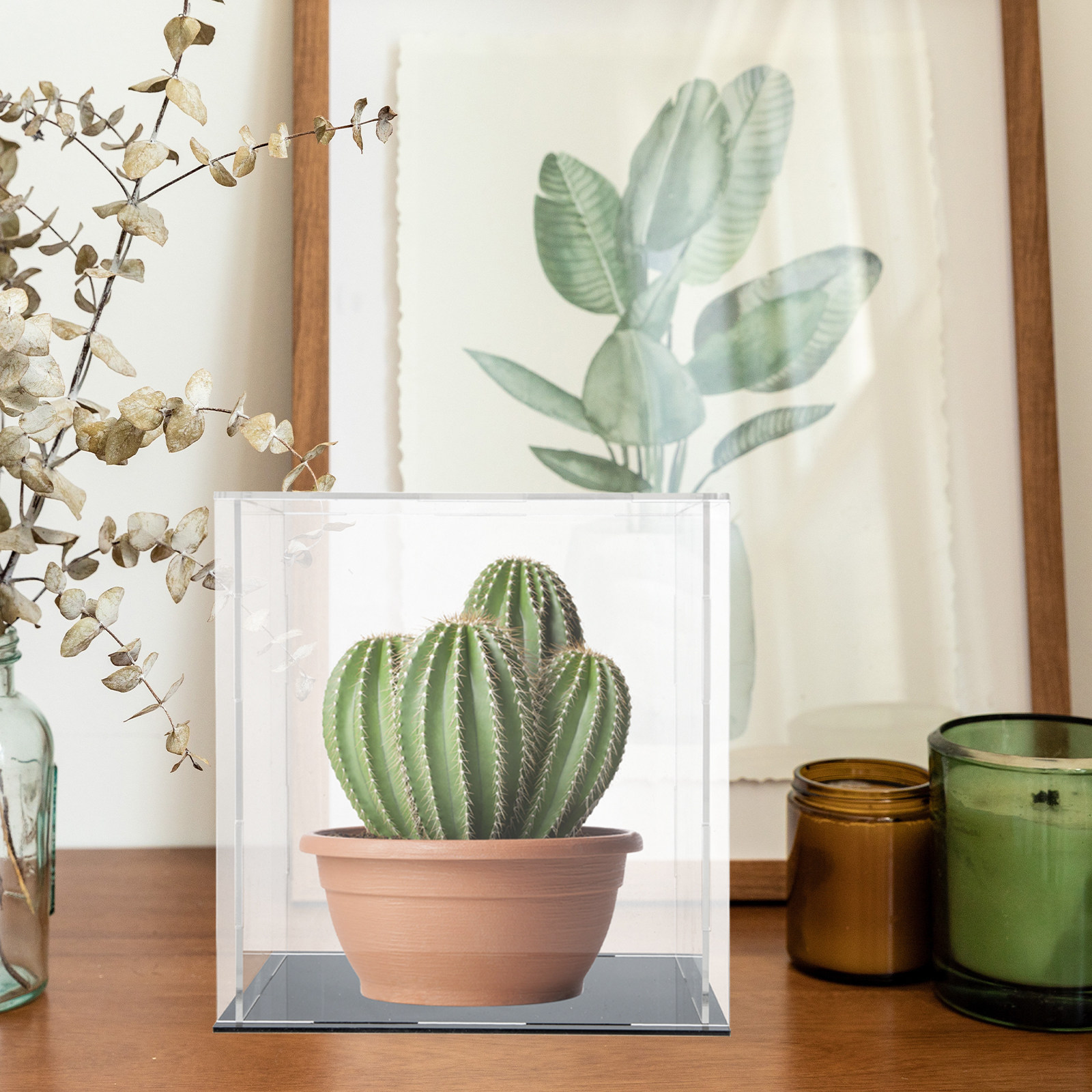 Vetrina in acrilico resistente - Display Case Acrylic recensione e prezzo